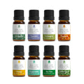 Aromatic World 8‑Oil Collection — 100% Pure Therapeutic‑Grade Essential Oils for Diffusers, Massage & Home Wellness - Day And Night Shopping