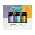 Aromatherapy Essential Oils 3‑Pack — Lavender, Eucalyptus & Frankincense for Relaxation, Clarity & Mood Balance - Day And Night Shopping